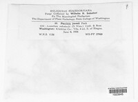 Image Associated With the Occurence